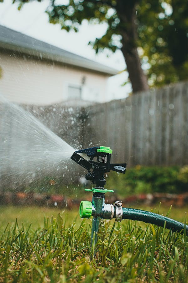 water-wise landscaping